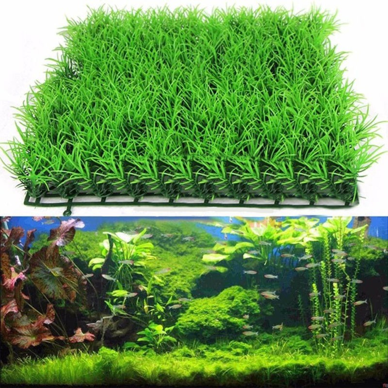 Bụi cỏ nhân tạo trang trí bể cá đẹp mắt