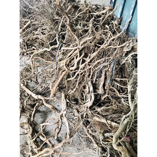 Rễ rừng thủy sinh 100g Loại còn vỏ