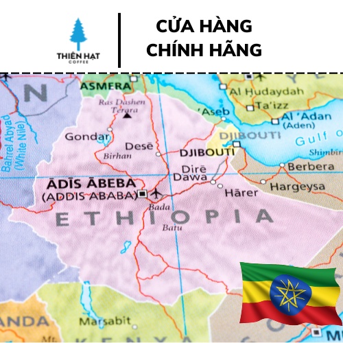 Cà phê nhân xanh ETHIOPIA SIDAMO G4-1kg
