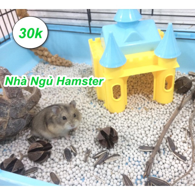 Mừng Sinh Nhật Shop - Big Sale - NHÀ NGỦ CHUỘT HAMSTER - Mẫu 2