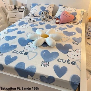 Ga nệm trải giường cotton, Drap giường và hai vỏ gối, Ra nệm giường đẹp