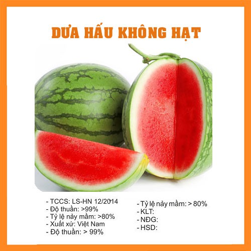 Hạt Giống Dưa Hấu Không Hạt - 10 Hạt