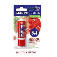 Son Dưỡng Môi Fito 5 In 1 Nga chiết xuất tự nhiên từ trái cây.