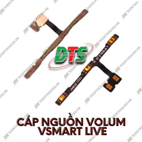Dây phím bấm lớn nhỏ dành cho vsmart live
