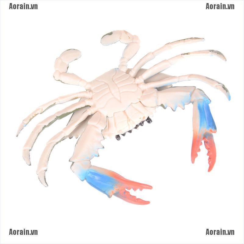 Mô Hình Đồ Chơi Cua Biển Độc Đáo