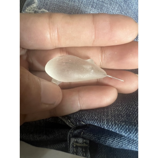 Phôi Nhái Hơi, Phôi Nhái F1 F2 Ngọc Trinh, Nhiều Loại Phôi Khác