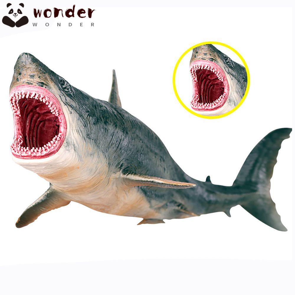 Mô Hình Megalodon Đồ Chơi Giáo Dục Sớm Cho Bé