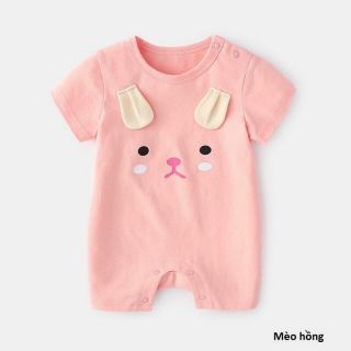 Combo tất thú cho khách hàng Phan Lina Quỳnh