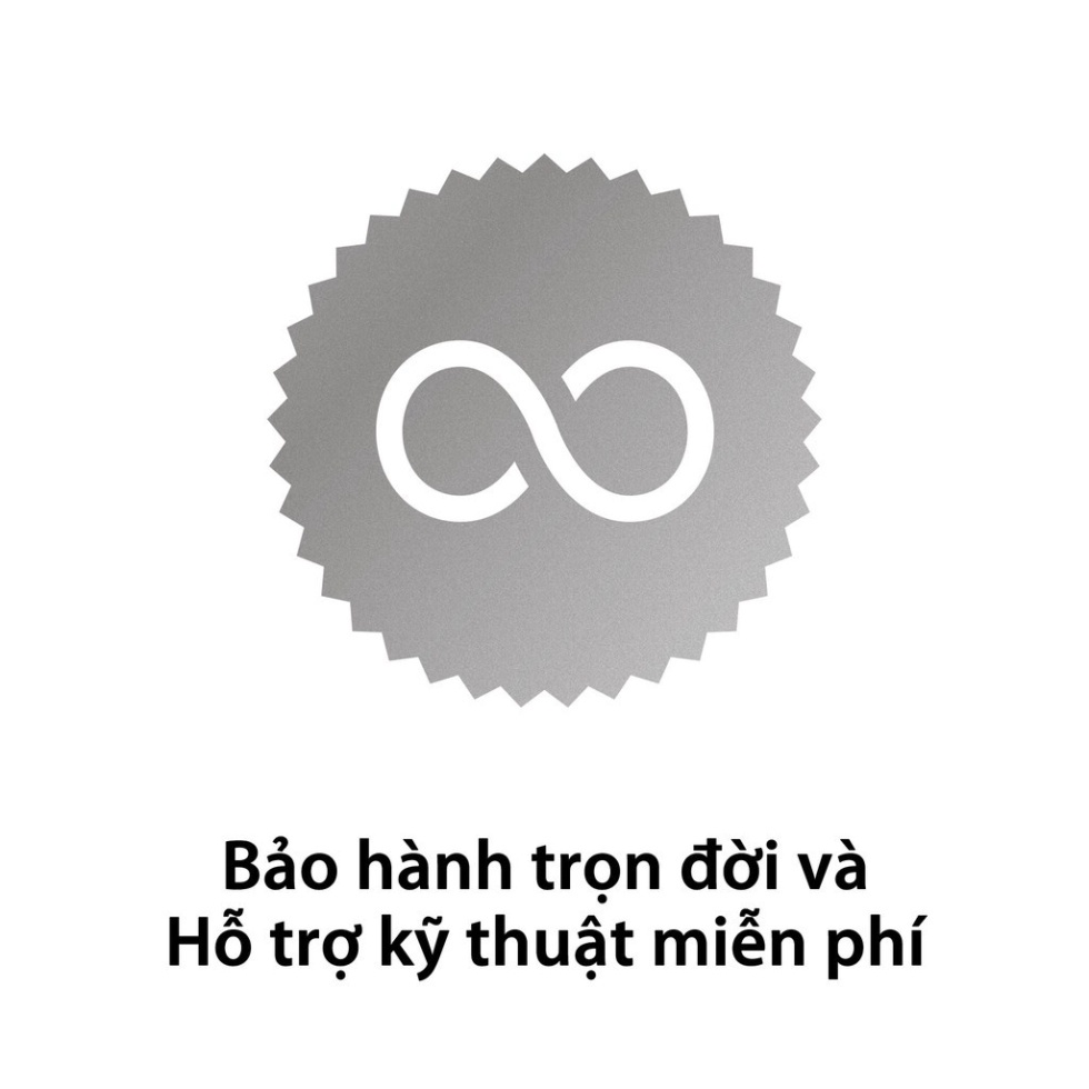 Thẻ nhớ Kingston Canvas Go Plus MicroSD 256GB cho di động Android, camera, flycam và sản xuất video 4K SDCG3/256G | BigBuy360 - bigbuy360.vn