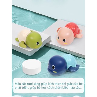 Đồ Chơi Rùa Vặn Cót Mini Siêu Dễ Thương Cho Bé