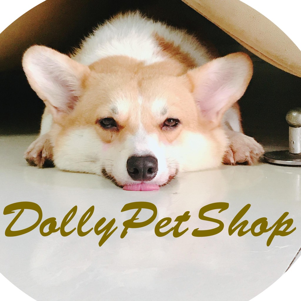 Dolly_pet