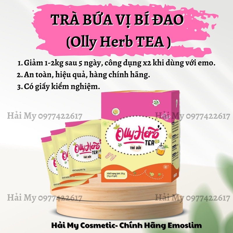 Giảm Cân, Giảm Mỡ, Giữ Dáng Trà Bứa Vị Bí Đao - Only Herb Tea Detox Hộp 5 Gói