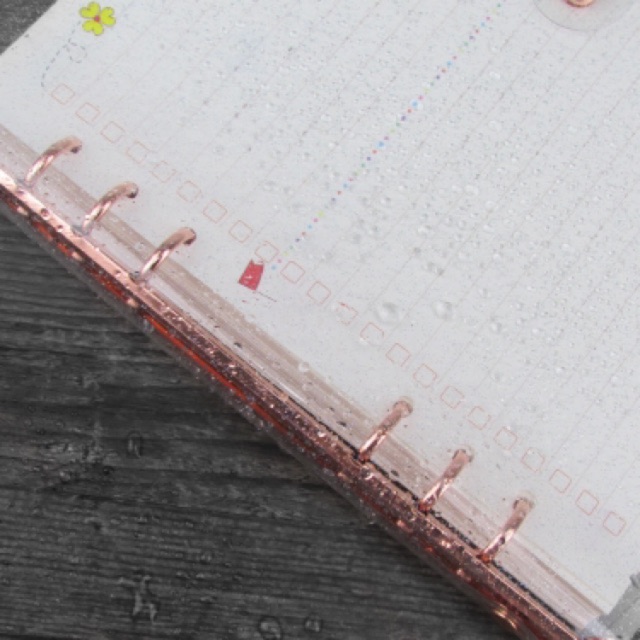 Bìa sổ còng PVC nhũ kim tuyến rose màu đồng A5