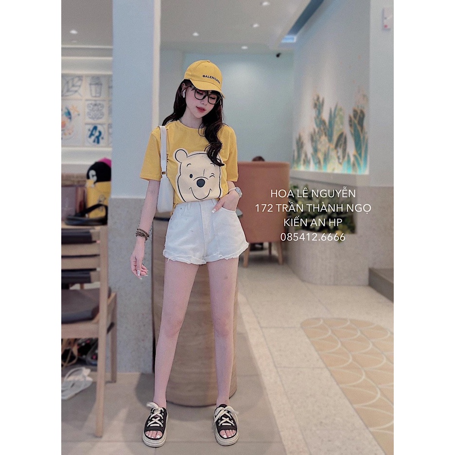 Bộ gấu vàng siêu cute mix quần short đùi TH156