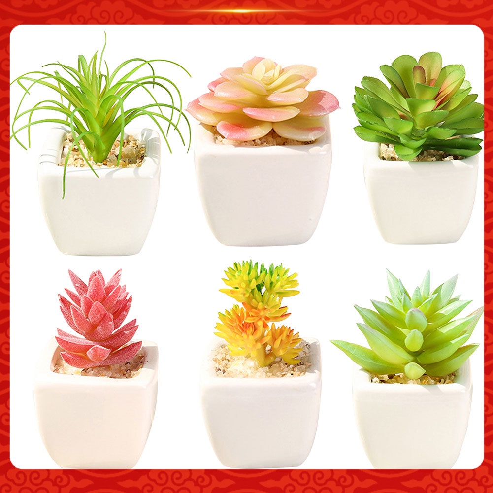 Chậu Cây Bonsai Giả Để Bàn Trang Trí Văn Phòng / Ban Công