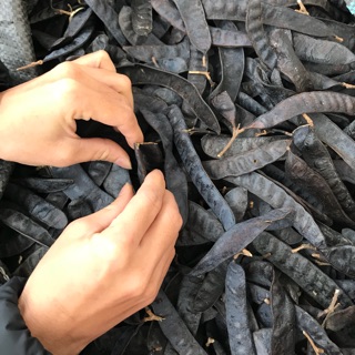 nguyenthao1292