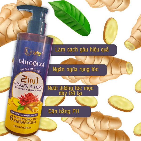 Dầu Gội Xả Gừng Catchy Chai 500ml