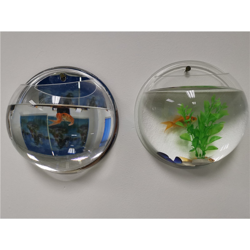 Bể Cá Gắn Tường Ba Màu Sắc Hình Cầu Bằng acrylic Sáng Tạo
