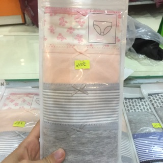 Set quần chip cotton