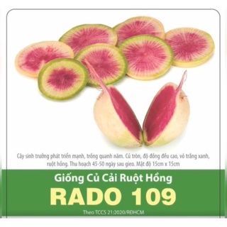 Hạt giống củ cải ruột hồng 109