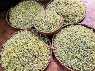 Nước cất hoa bưởi Pomely