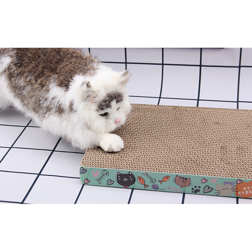 Tấm mèo cào bằng carton BoBo BO-4825