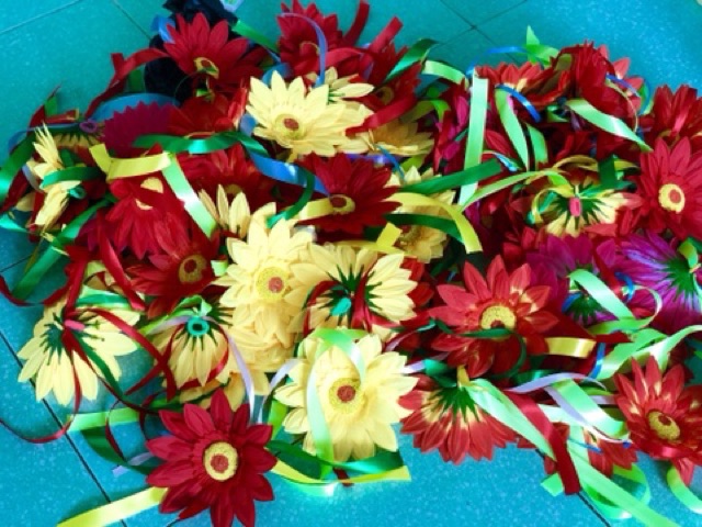 Hoa múa sân trường