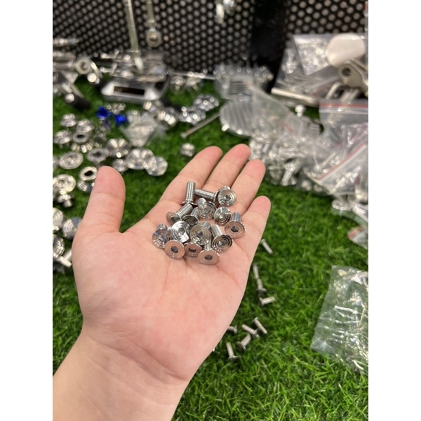 Ốc salaya gắn lòng đĩa 6li dẹp