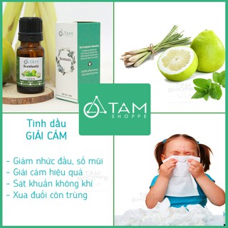 [NGUYÊN CHẤT 100%] Tinh dầu bưởi giải cảm Cold & Flu 10ml Scentastic