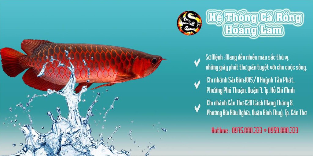 Aqua Max 2  hiệu quả làm sạch nước tức thì