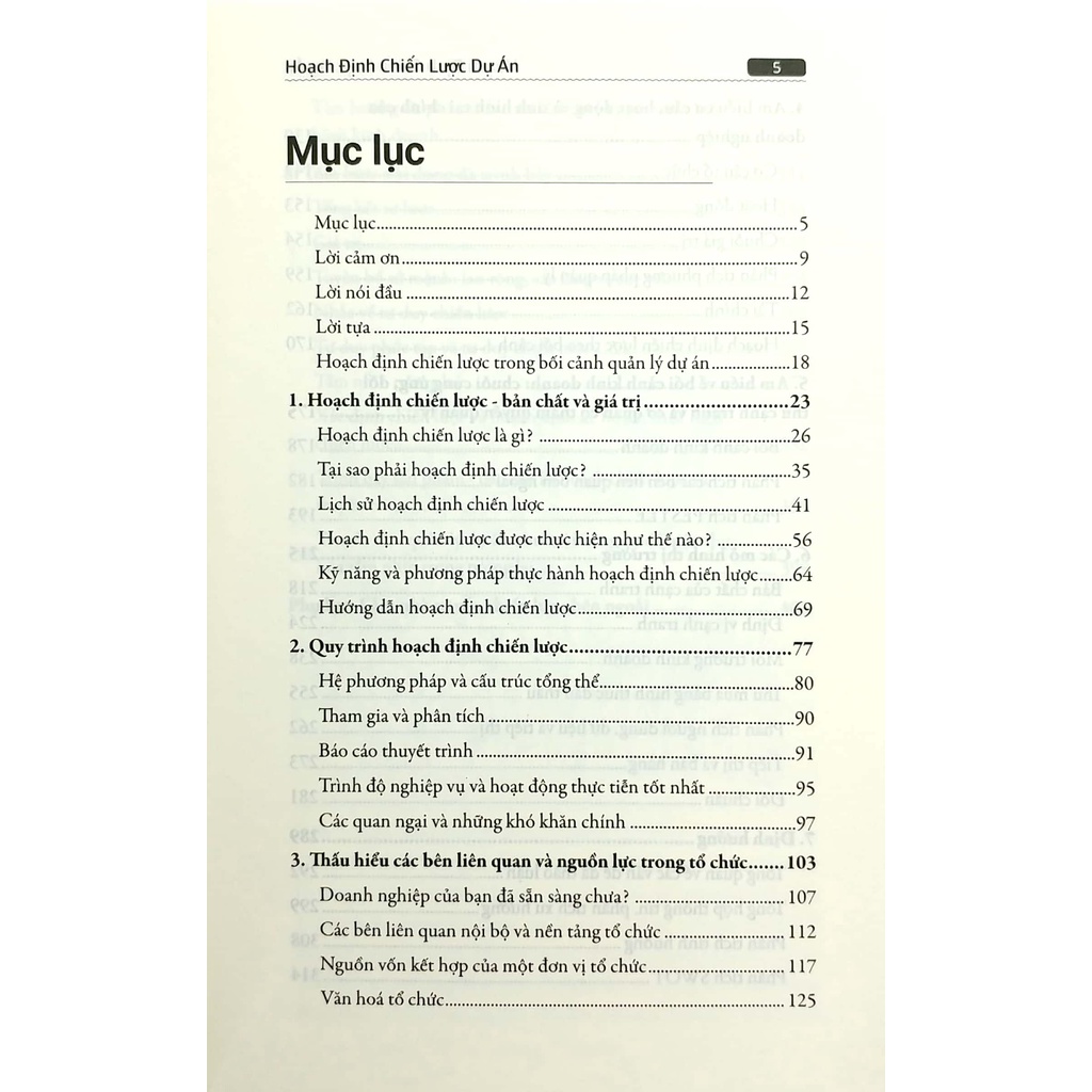 Sách - Hoạch Định Chiến Lược Dự Án (Haukur Ingim Jonasson, Helgi Thor Ingason)