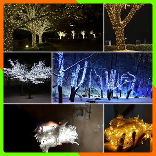 Đèn Led Cuốn Cây 20m (Có Sỉ)