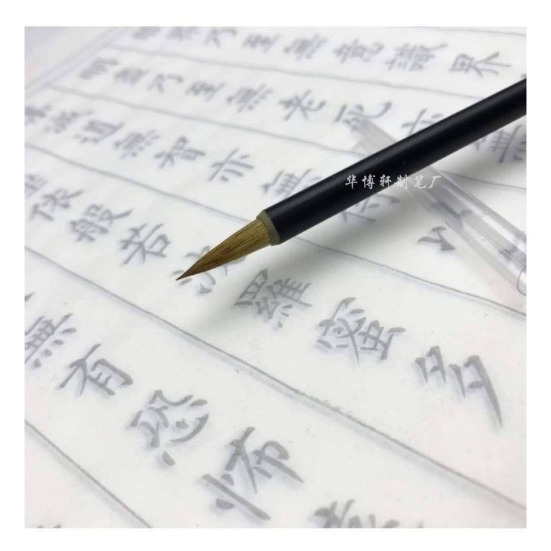 Tiểu khải lang hào