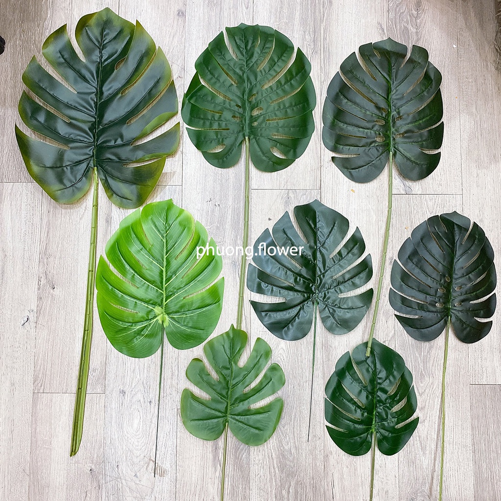 Lá trầu bà giả lá rùa nhân tạo size lớn 60cm trang trí nhà cửa decor văn phòng làm phông nền đạo cụ chụp ảnh giống thật