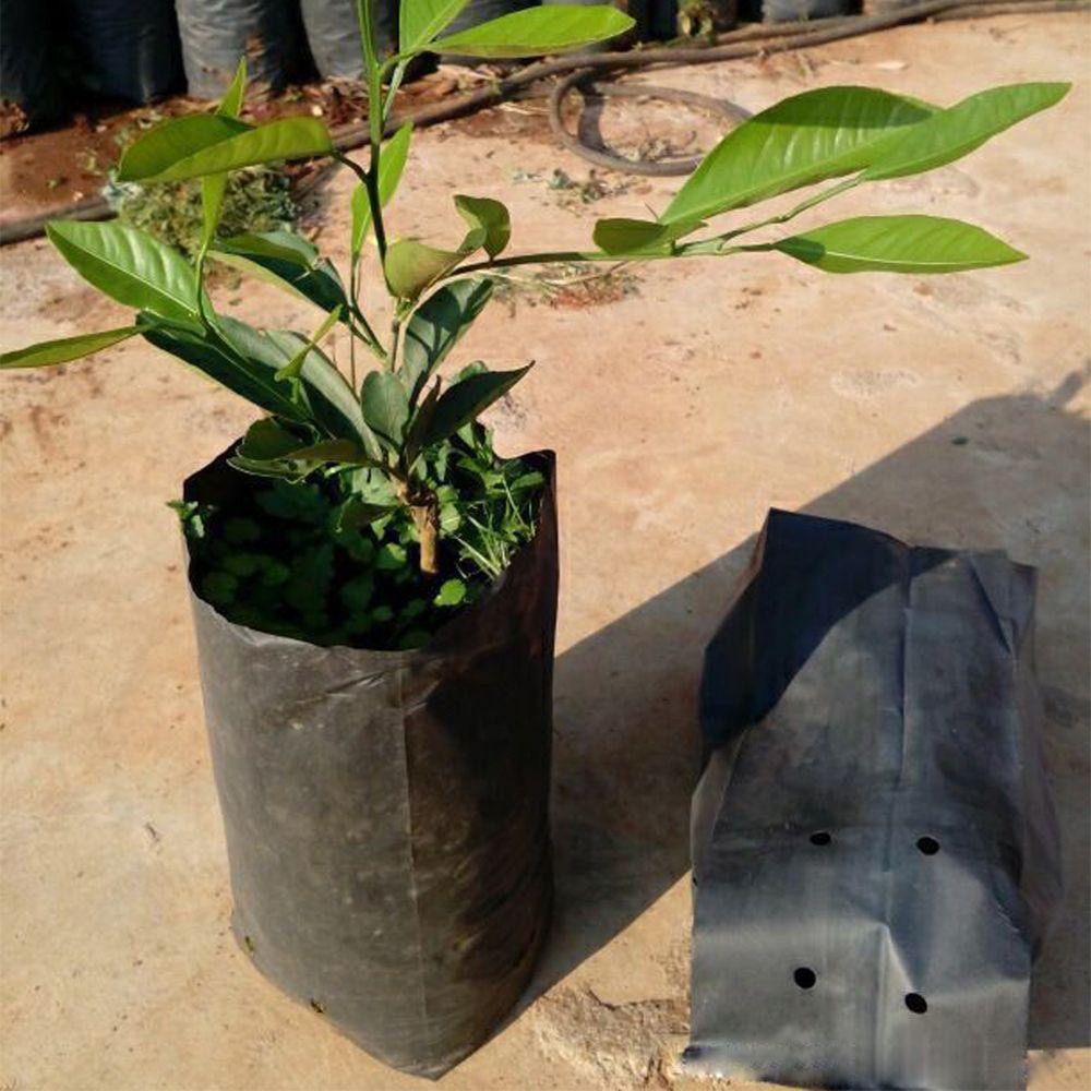 Set 200 Túi Nhựa Trồng Cây Thoáng Khí Bảo Vệ Môi Trường