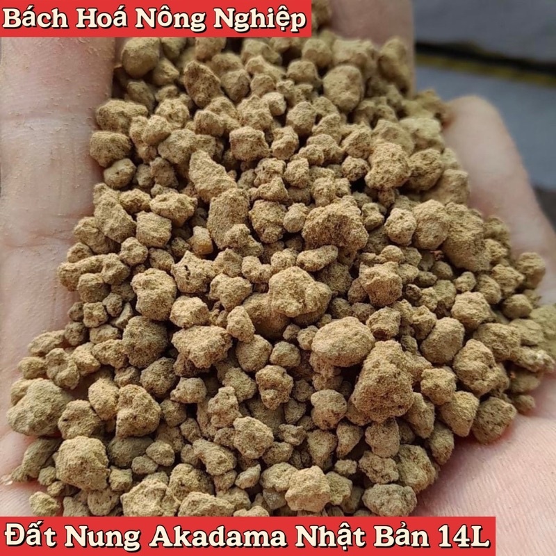 1KG Đất Akadama Nhật Bản, Đất Trồng Cây Bonsai, Phân Nền Thuỷ Sinh, Đất Trồng Xương Rồng