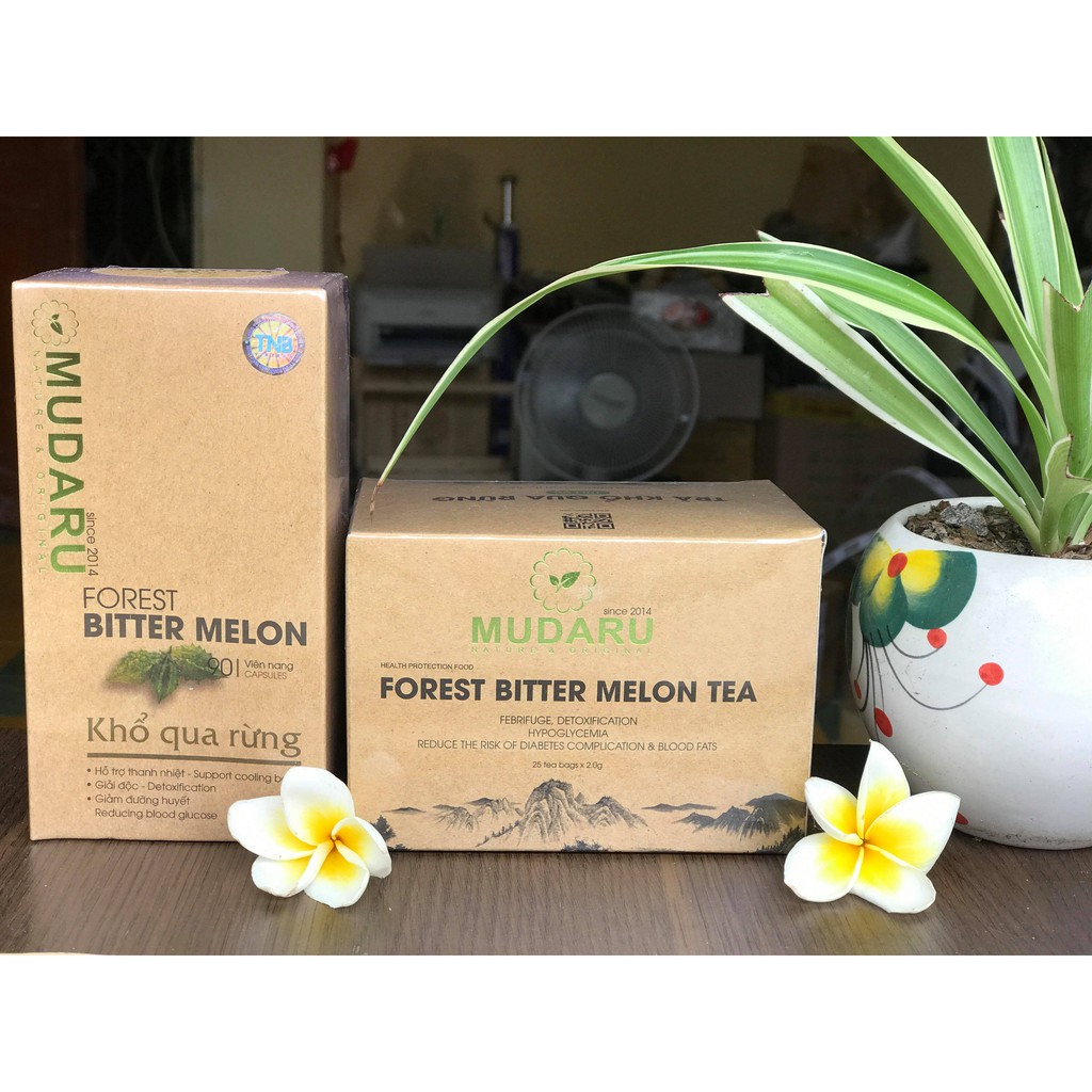 Trà Khổ Qua Rừng MUDARU- THANH NHIỆT- GIẢI ĐỘC- MÁT GAN- KIỂM SOÁT ĐƯỜNG HUYẾT | BigBuy360 - bigbuy360.vn