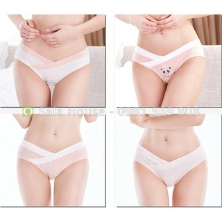 Combo/ set 4 Quần Lót Bầu Cotton cao cấp (H)