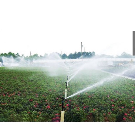 Béc tưới cánh đập chỉnh góc Đài Loan Eco 101 phi 21, béc tưới cây bán kính rộng