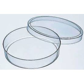 Bộ đĩa thủy tinh PEPTRI- dùng trong phòng thí nghiệm