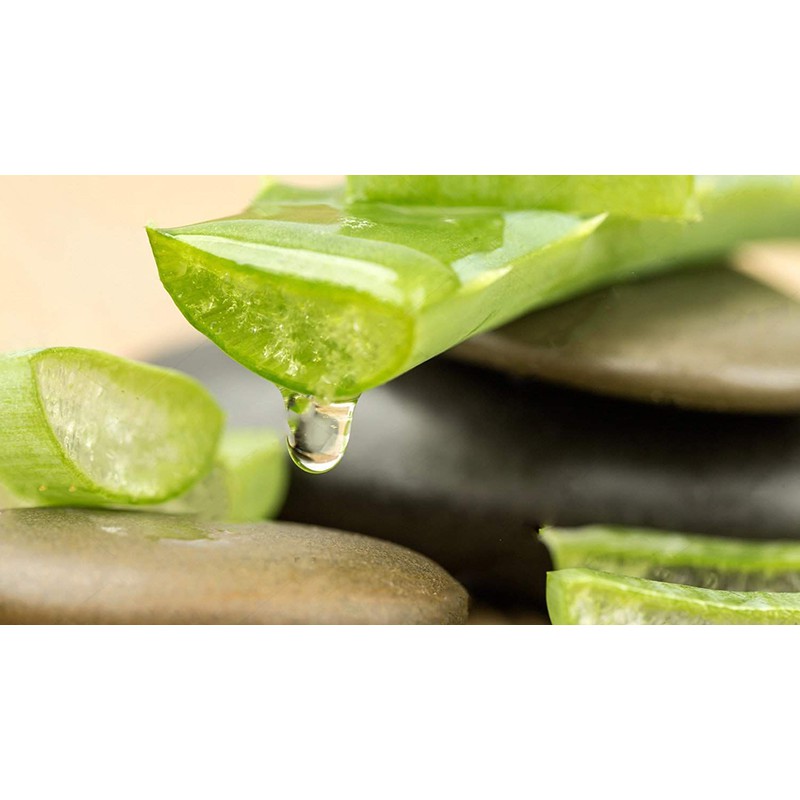 Thùng 24 chai VFRESH trà nha đam (350mlx 24 chai)