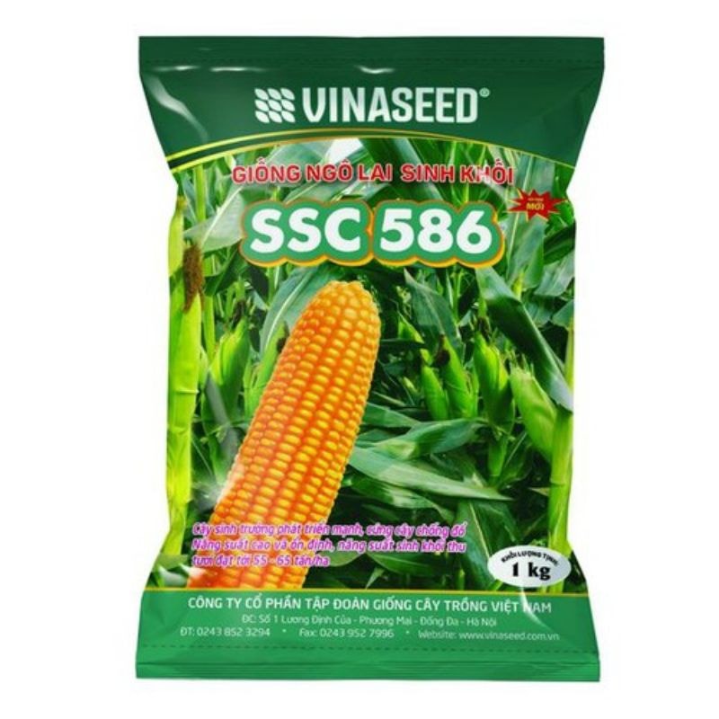 Hạt giống Ngô SINH KHỐI SSC586