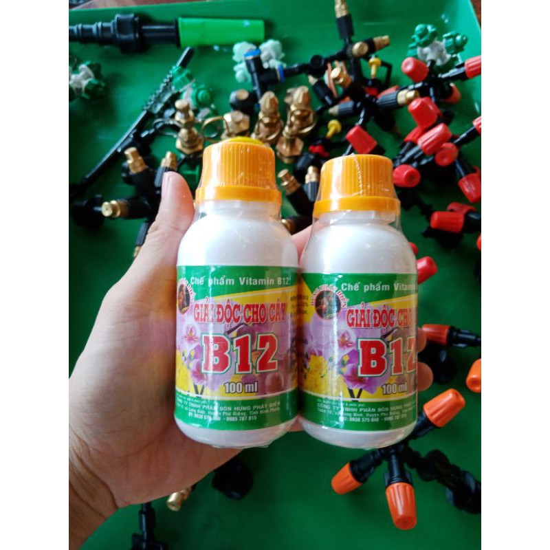 Vitamin B12 Cho Lan 100ml - Giải Độc Cho Cây Khi Bị Sốc Thuốc, Sốc Nhiệt - B12 Giúp Tái Tạo Tế Bào Mới, Phục Hồi Nhanh