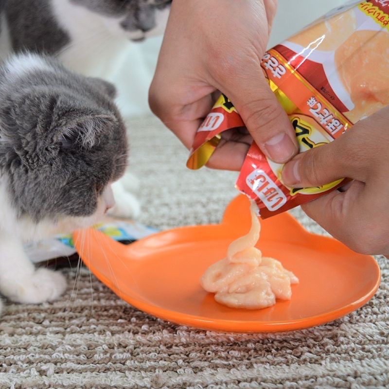 [RẺ VÔ ĐỊCH] Pate thưởng cho mèo Ciao đôi INABA (2 gói) 6 mùi vị đa dạng 60G -Thức ăn dinh dưỡng thú cưng Gogi MEOW MART