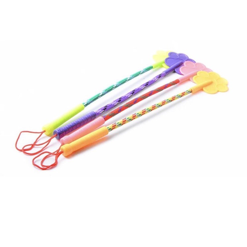 Roi kỷ luật (roi huấn luyện) thú cưng