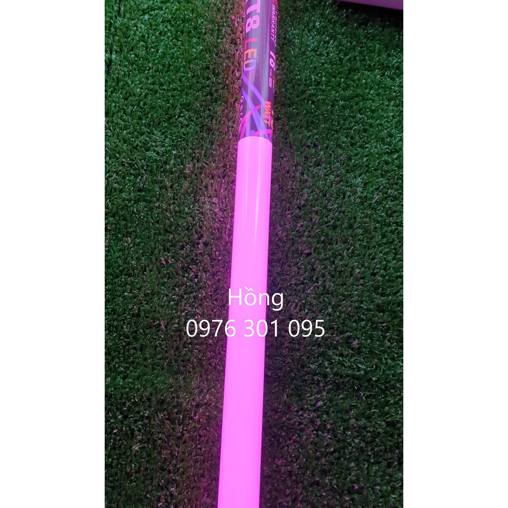 Đèn Chụp Hình Sống Ảo TIKTOK 60cm [ 8 Màu ]