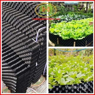 Bầu ươm trồng rau cây xanh V6 hàng chuẩn tiện lợi dễ sử dụng giá rẻ tiết kiệm chi phí thời gian.