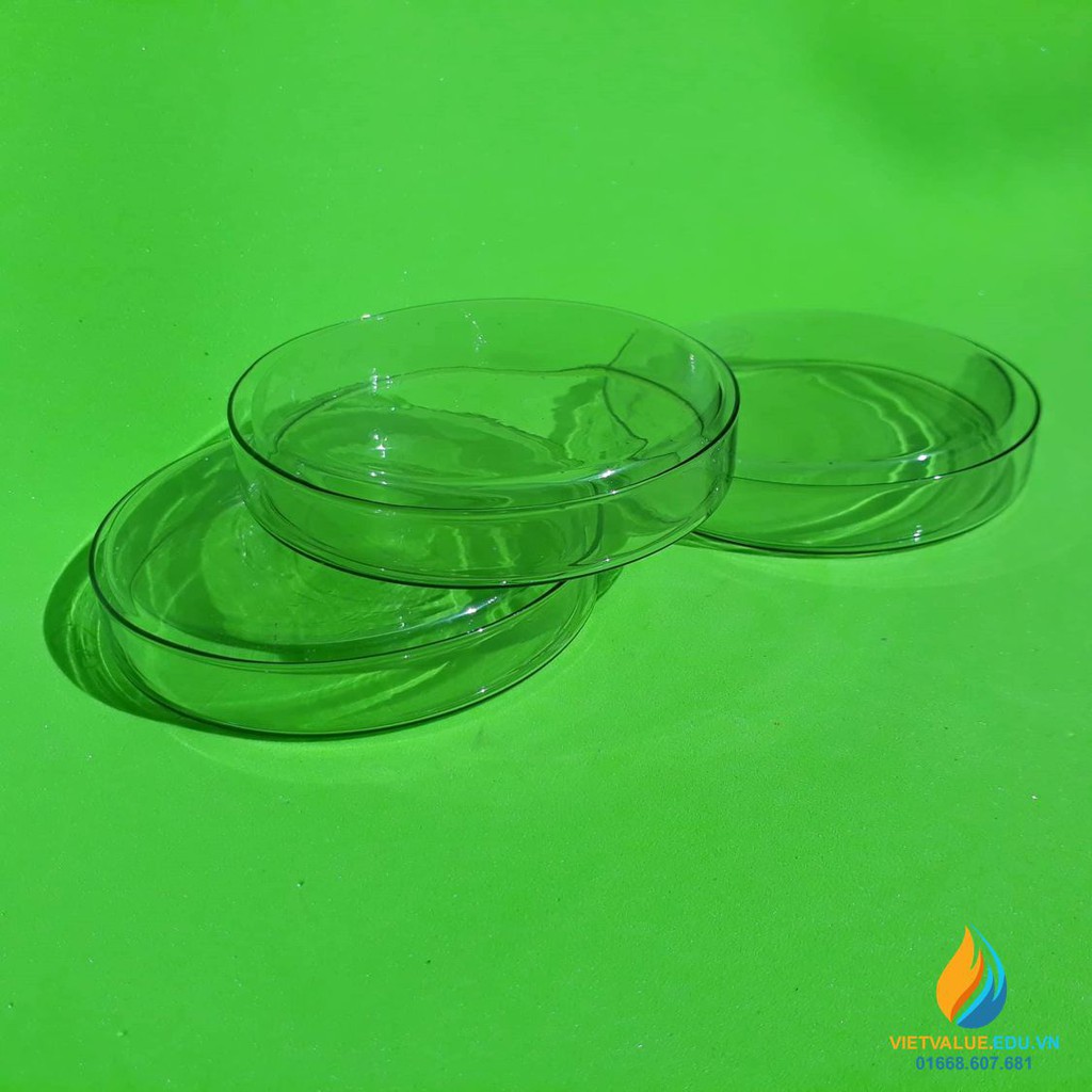 Đĩa petri nhựa (Petri Dish) đường kính 90mm, 75mm, 60mm