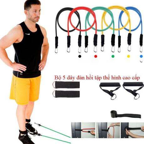 Dây Đàn Hồi Tập Gym, Bộ 5 Dây Đàn Hồi. Dụng Cụ Tập Gym Tại Nhà - Dây Đàn Hồi Tập Thể Hình Chất Lượng Cao