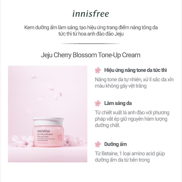 Kem dưỡng da innisfree Green Tea/Innisfree Jeju Cherry Blossom/Innisfree Enriched Orchid/ Innisfree Brightening 50ml